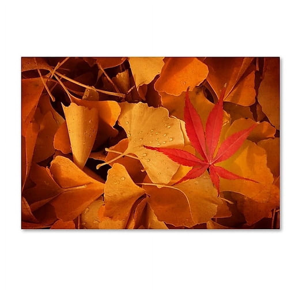 Trademark Fine Art "Lost & Found" Canvas Art by Philippe Sainte-Laudy