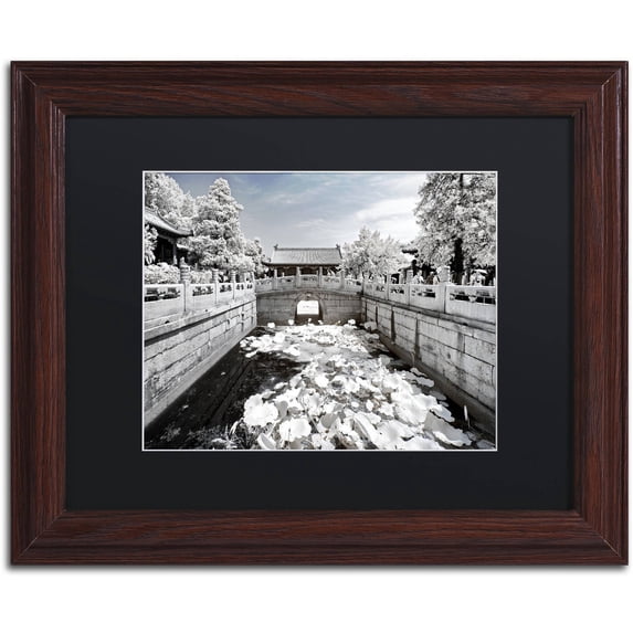 Trademark Fine Art "Lotus Bridge" Canvas Art by Philippe Hugonnard, Black Matte, Wood Frame