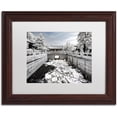 thumbnail image 1 of Trademark Fine Art "Lotus Bridge" Canvas Art by Philippe Hugonnard, White Matte, Wood Frame, 1 of 1