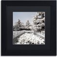 thumbnail image 1 of Trademark Fine Art "Lotus Bridge V" Canvas Art by Philippe Hugonnard, Black Matte, Black Frame, 1 of 3
