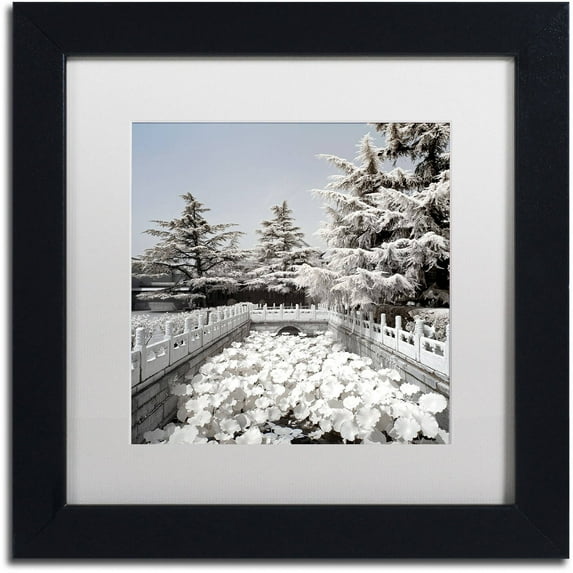 Trademark Fine Art "Lotus Bridge V" Canvas Art by Philippe Hugonnard, White Matte, Black Frame