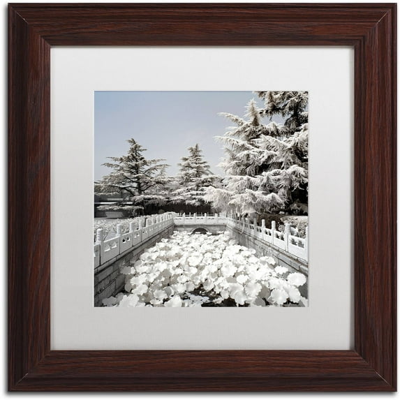 Trademark Fine Art "Lotus Bridge V" Canvas Art by Philippe Hugonnard, White Matte, Wood Frame