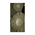 thumbnail image 1 of Trademark Fine Art 'Lotus I' Canvas Art by Tang Ling, 1 of 4