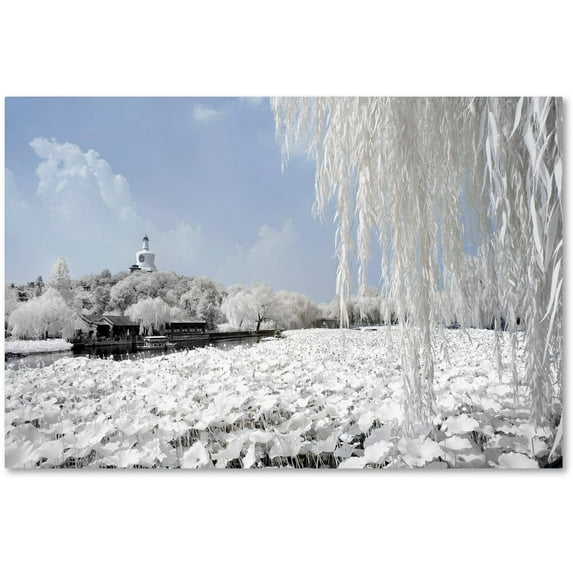 Trademark Fine Art "Lotus Lake" Canvas Art by Philippe Hugonnard