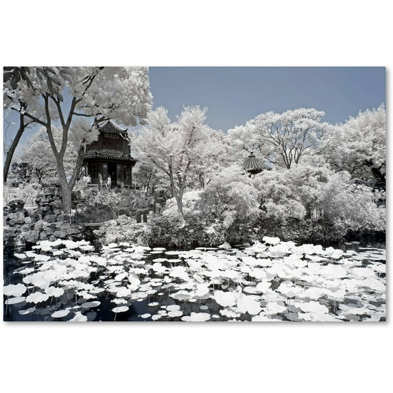 Trademark Fine Art "Lotus Lake III" Canvas Art by Philippe Hugonnard