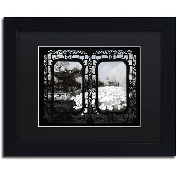 Trademark Fine Art "Lotus Sea" Canvas Art by Philippe Hugonnard, Black Matte, Black Frame