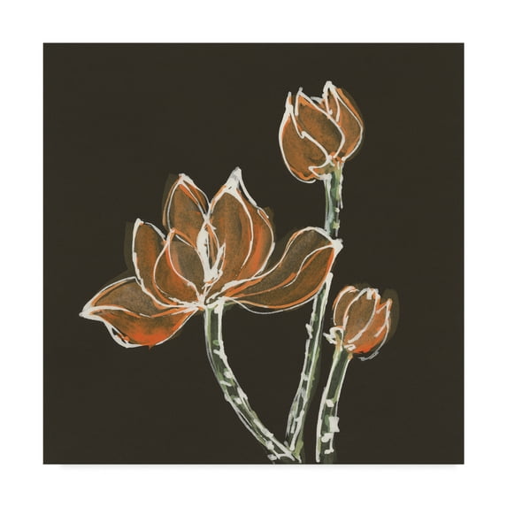 Trademark Fine Art 'Lotus on Black IV' Canvas Art by Chris Paschke
