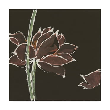Trademark Fine Art 'Lotus on Black V' Canvas Art by Chris Paschke