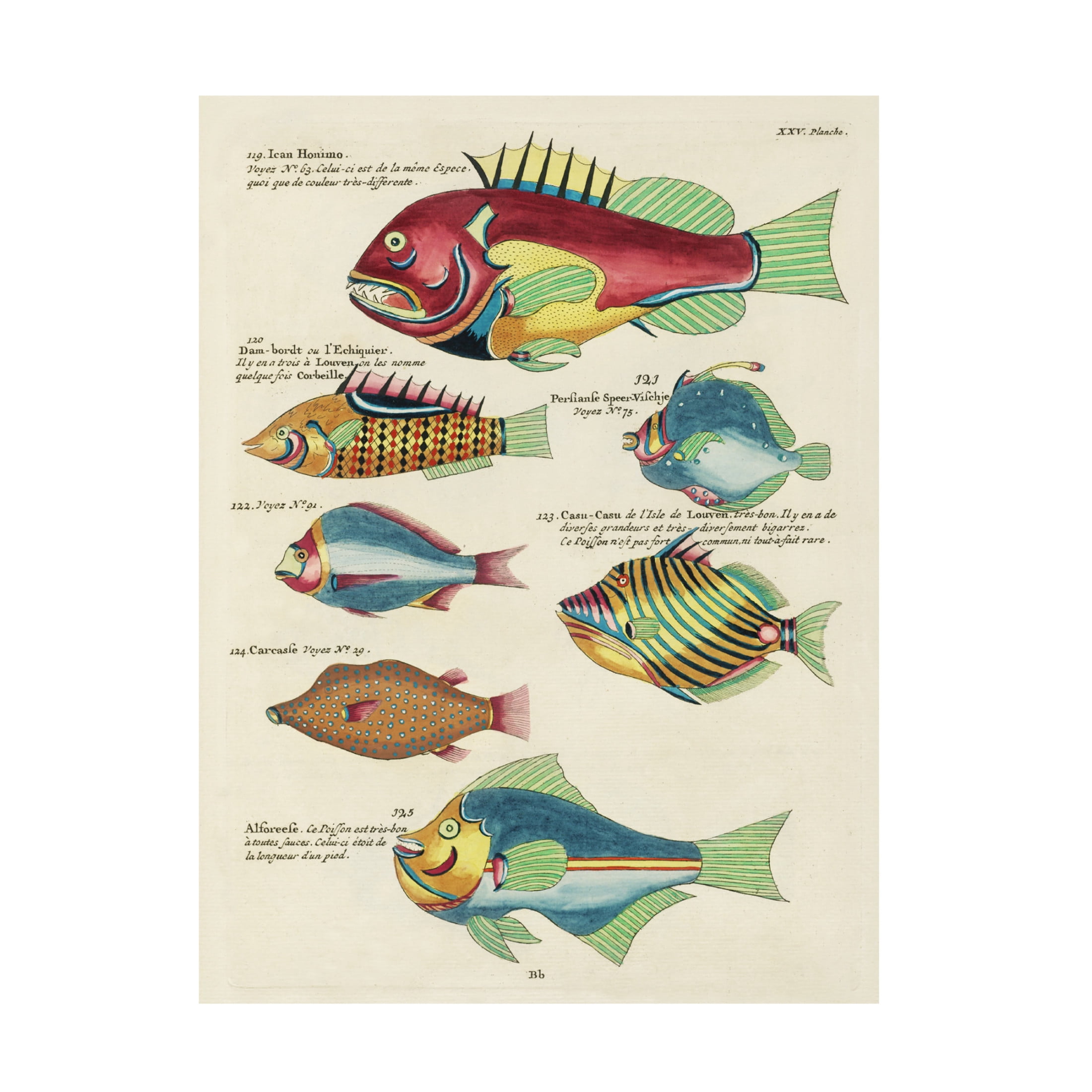 Trademark Fine Art Louis Renard Renard Tropical Fish III Canvas Wall Art