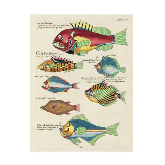 Trademark Fine Art Louis Renard Renard Tropical Fish III Canvas Wall Art