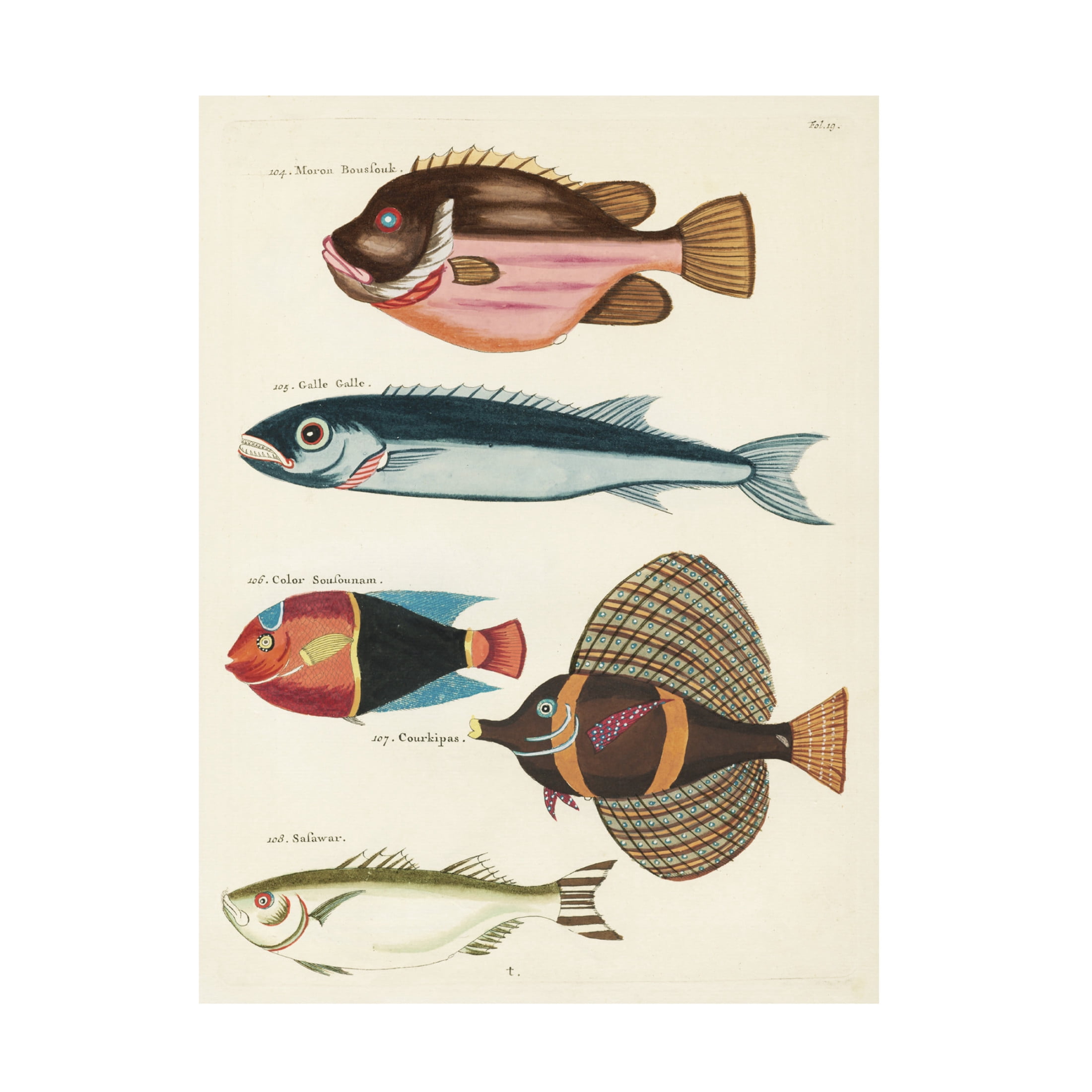 Trademark Fine Art Louis Renard Renard Tropical Fish IV Canvas Wall Art