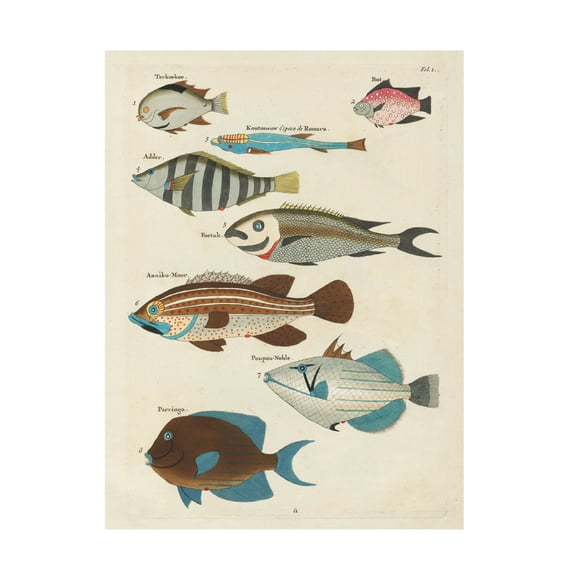 Trademark Fine Art Louis Renard  Renard Tropical Fish V Canvas Wall Art