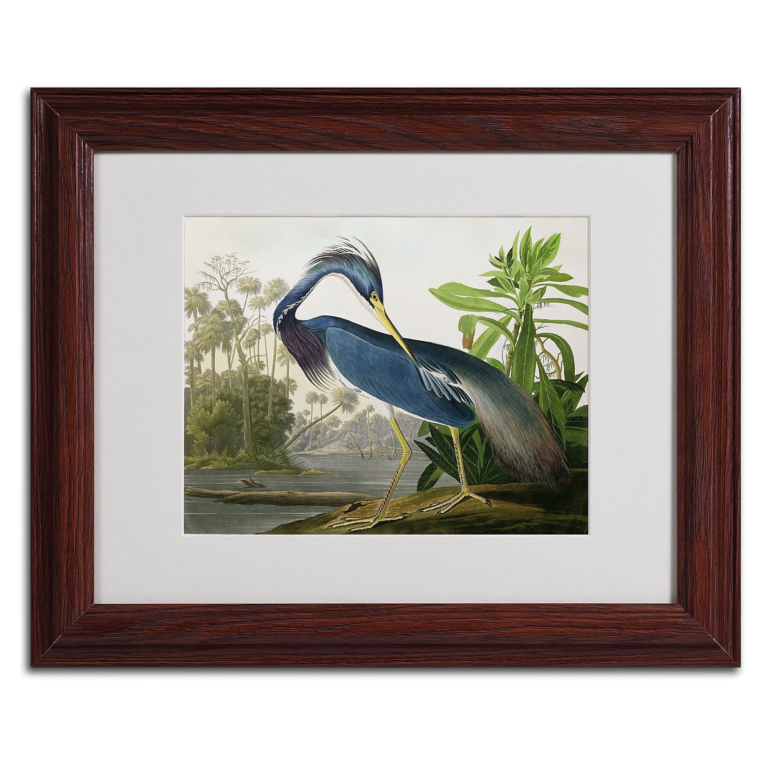 Trademark Fine Art "Louisiana Heron" Canvas Art by John James Audubon, Wood Frame