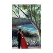 Trademark Fine Art 'Love Is In The Air Kissing' Canvas Art by Gregg Degroat