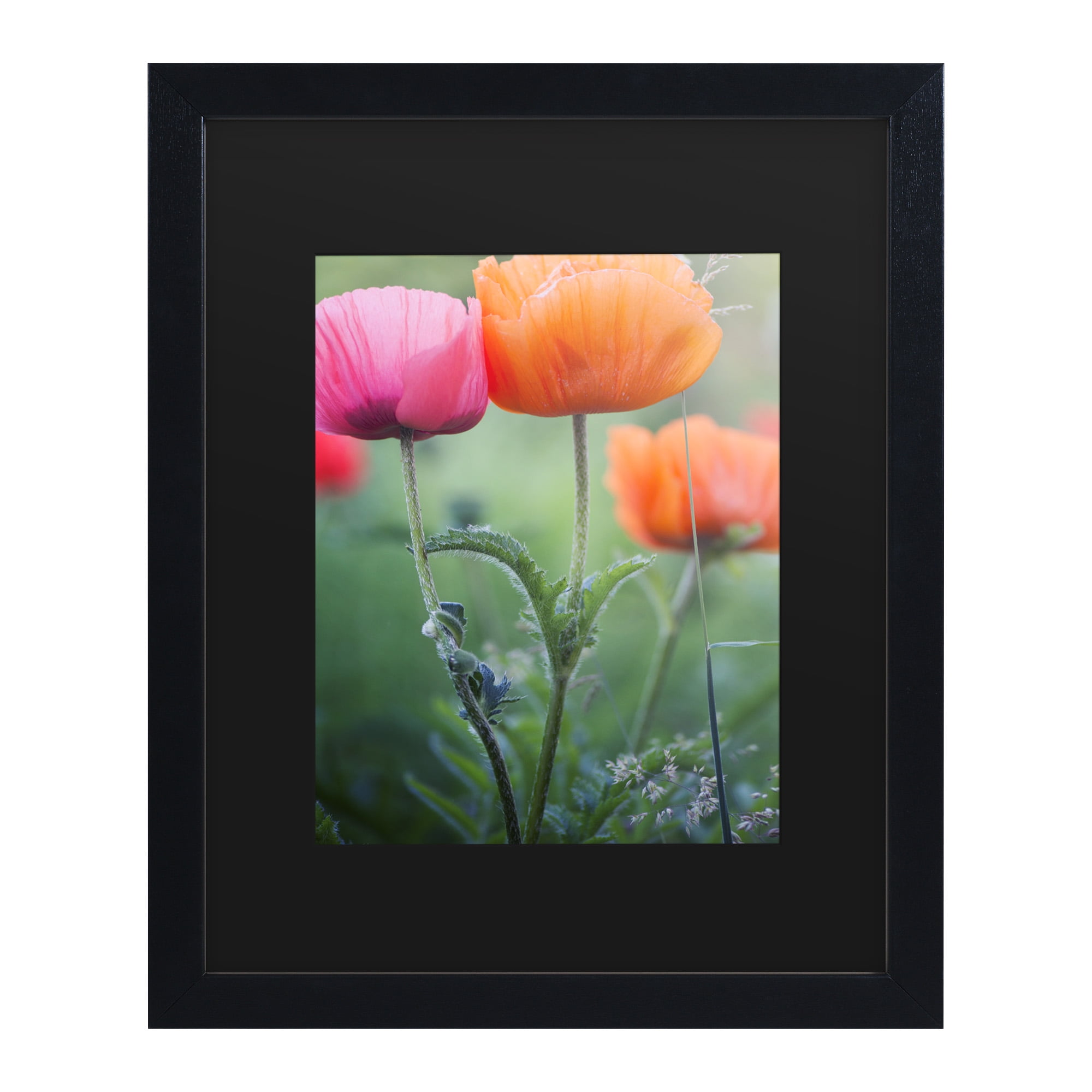 Trademark Fine Art 'Love Me Again' Canvas Art by Philippe Sainte-Laudy