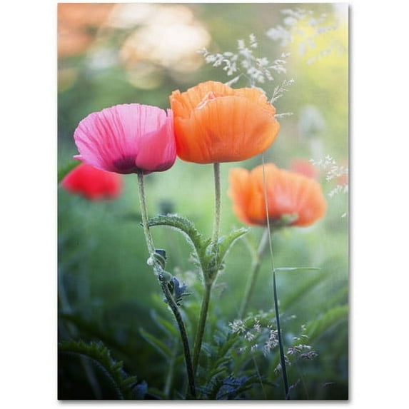 Trademark Fine Art "Love Me Again" Canvas Art by Philippe Sainte-Laudy