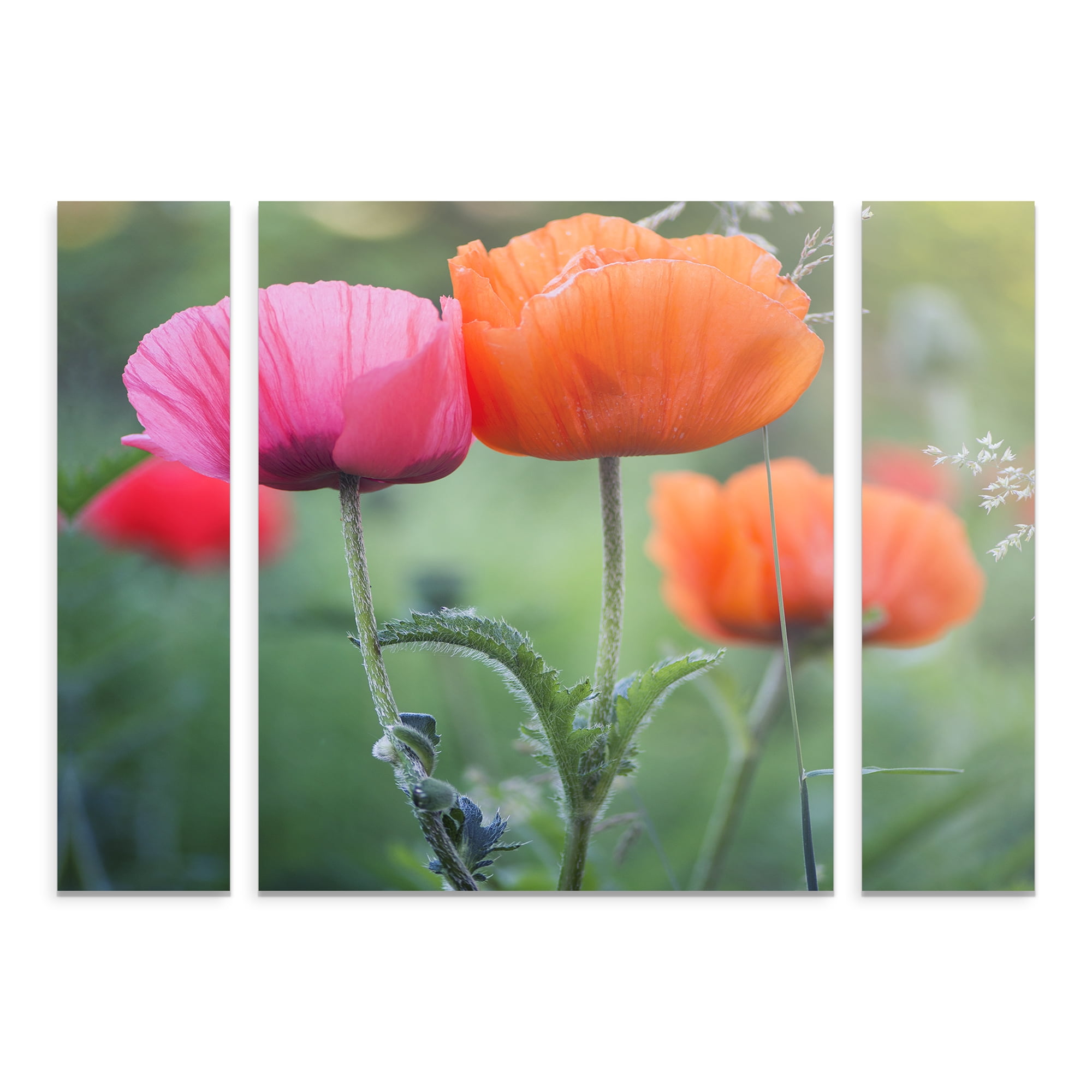 Trademark Fine Art 'Love Me Again' Canvas Art by Philippe Sainte-Laudy