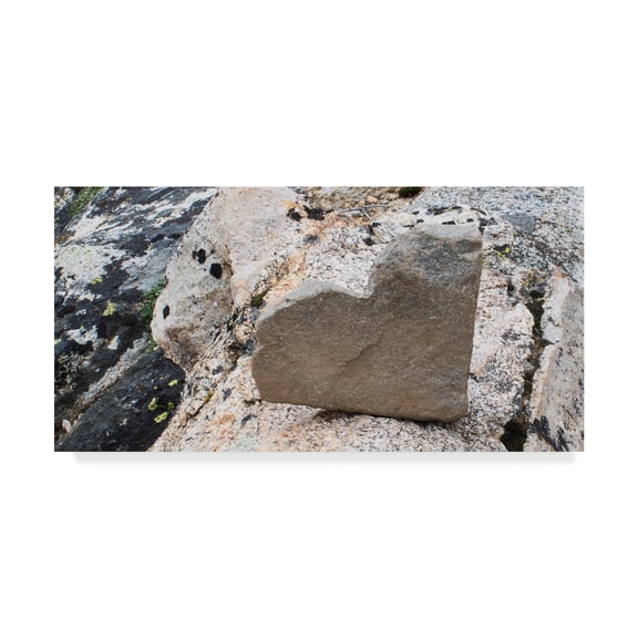 Trademark Fine Art 'Love Rocks' Canvas Art by Brenda Petrella Photography Llc