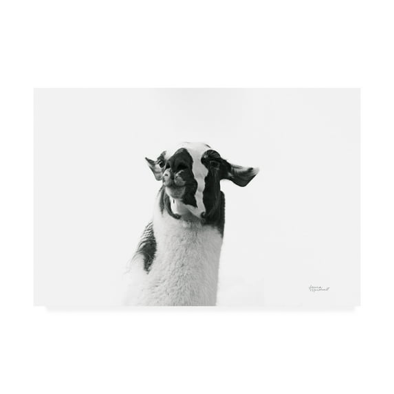 Trademark Fine Art 'Loveable Llama I Crop' Canvas Art by Laura Marshall