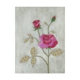 thumbnail image 1 of Trademark Fine Art 'Lovely Botanical I' Canvas Art by Vanna Lam, 1 of 4