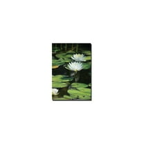 Trademark Fine Art "Lovely Lilies" Canvas Art by Patty Tuggle