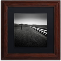 Trademark Fine Art "Low" Canvas Art by Dave MacVicar, Black Matte, Wood Frame