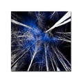 thumbnail image 1 of Trademark Fine Art "Low Life" Canvas Art by Philippe Sainte-Laudy, 1 of 4