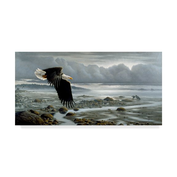 Trademark Fine Art 'Low Tide Bald Eagle' Canvas Art by Wilhelm Goebel