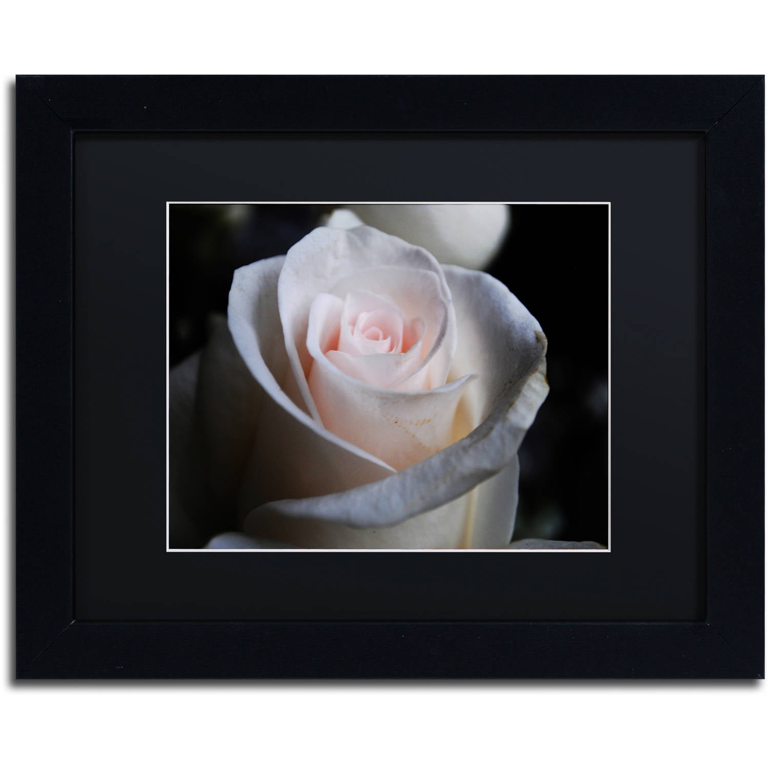 Trademark Fine Art "Loyal Star" Canvas Art by Monica Mize, Black Matte, Black Frame
