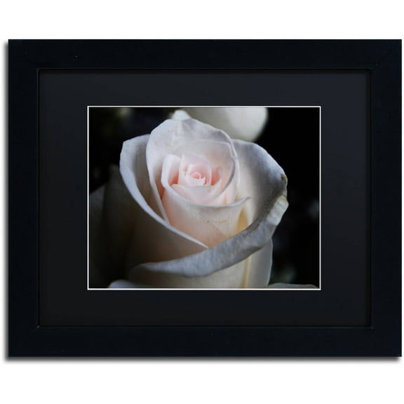 Trademark Fine Art "Loyal Star" Canvas Art by Monica Mize, Black Matte, Black Frame