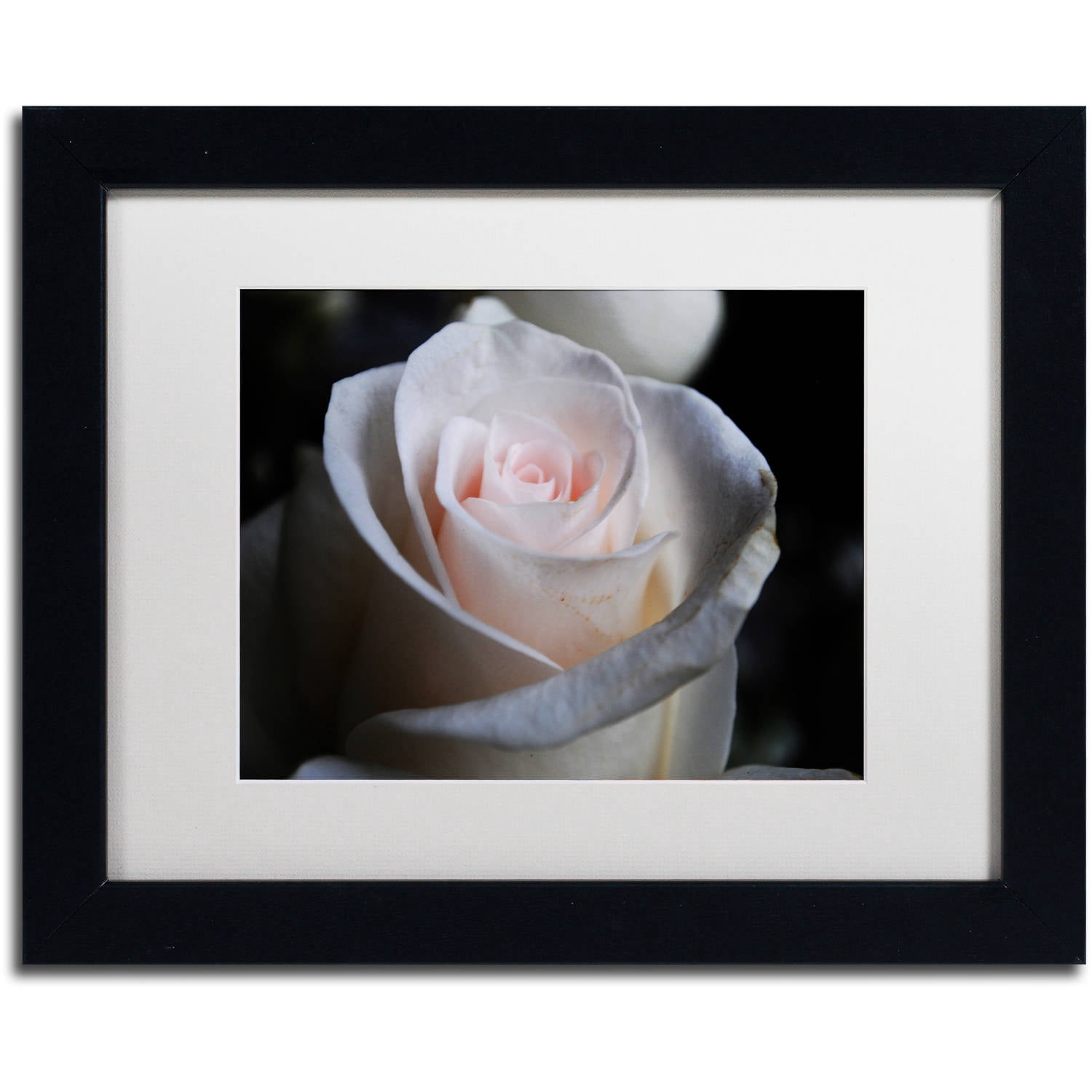 Trademark Fine Art "Loyal Star" Canvas Art by Monica Mize, White Matte, Black Frame