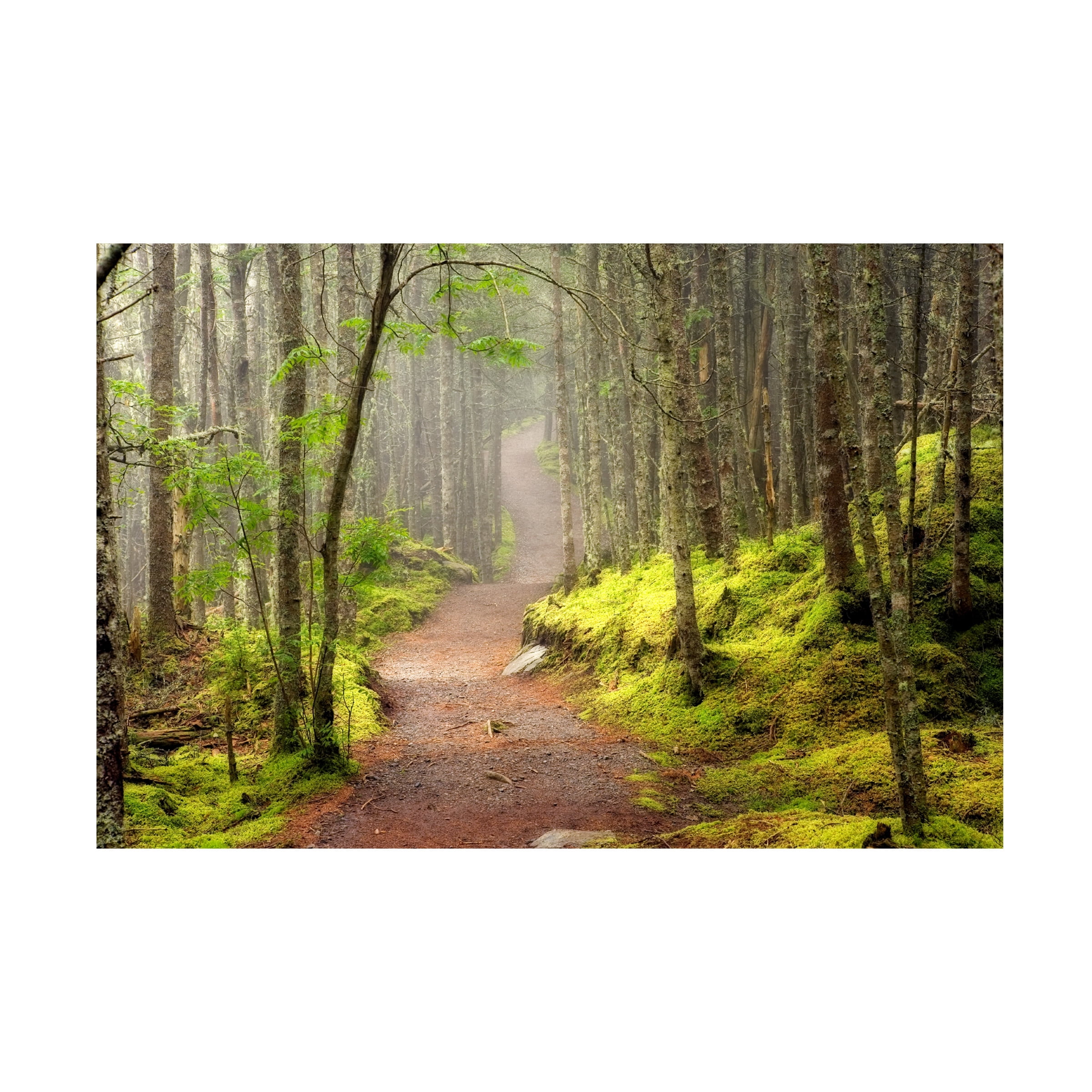 Trademark Fine Art 'Lubec Path' Canvas Art by Mike Jones Photo