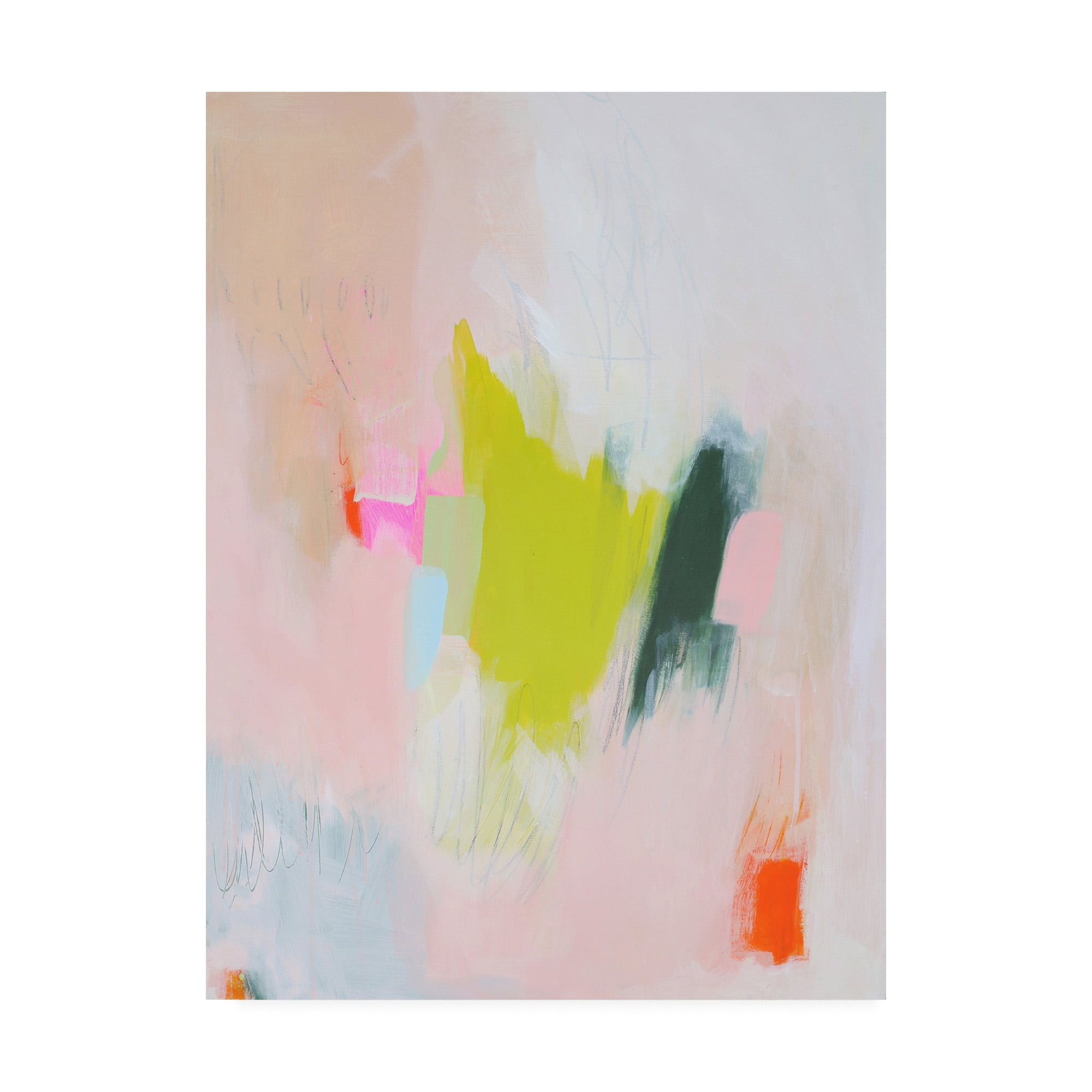 Trademark Fine Art 'Lucia' Canvas Art by Melissa Donoh