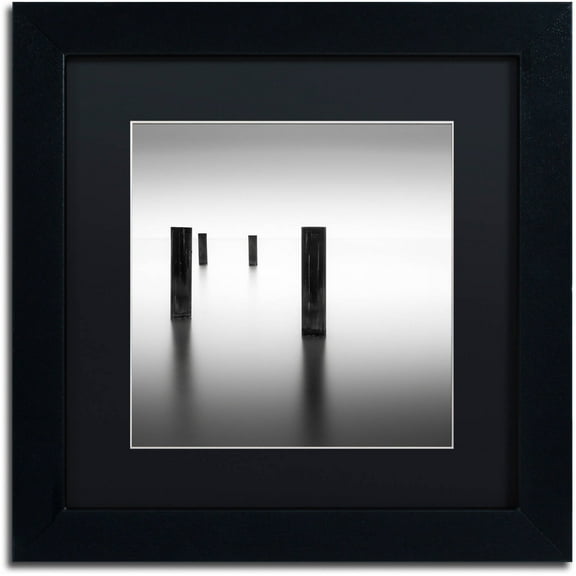 Trademark Fine Art "Lucid" Canvas Art by Dave MacVicar, Black Matte, Black Frame
