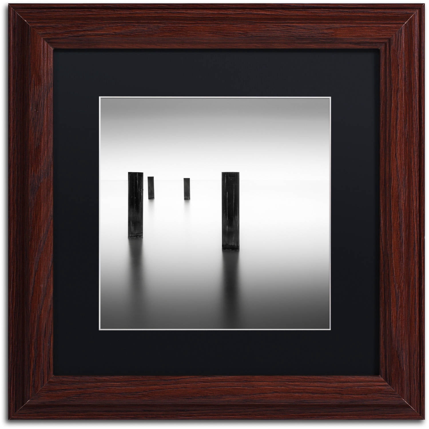 Trademark Fine Art "Lucid" Canvas Art by Dave MacVicar, Black Matte, Wood Frame
