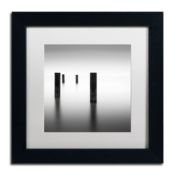 Trademark Fine Art "Lucid" Canvas Art by Dave MacVicar, White Matte, Black Frame