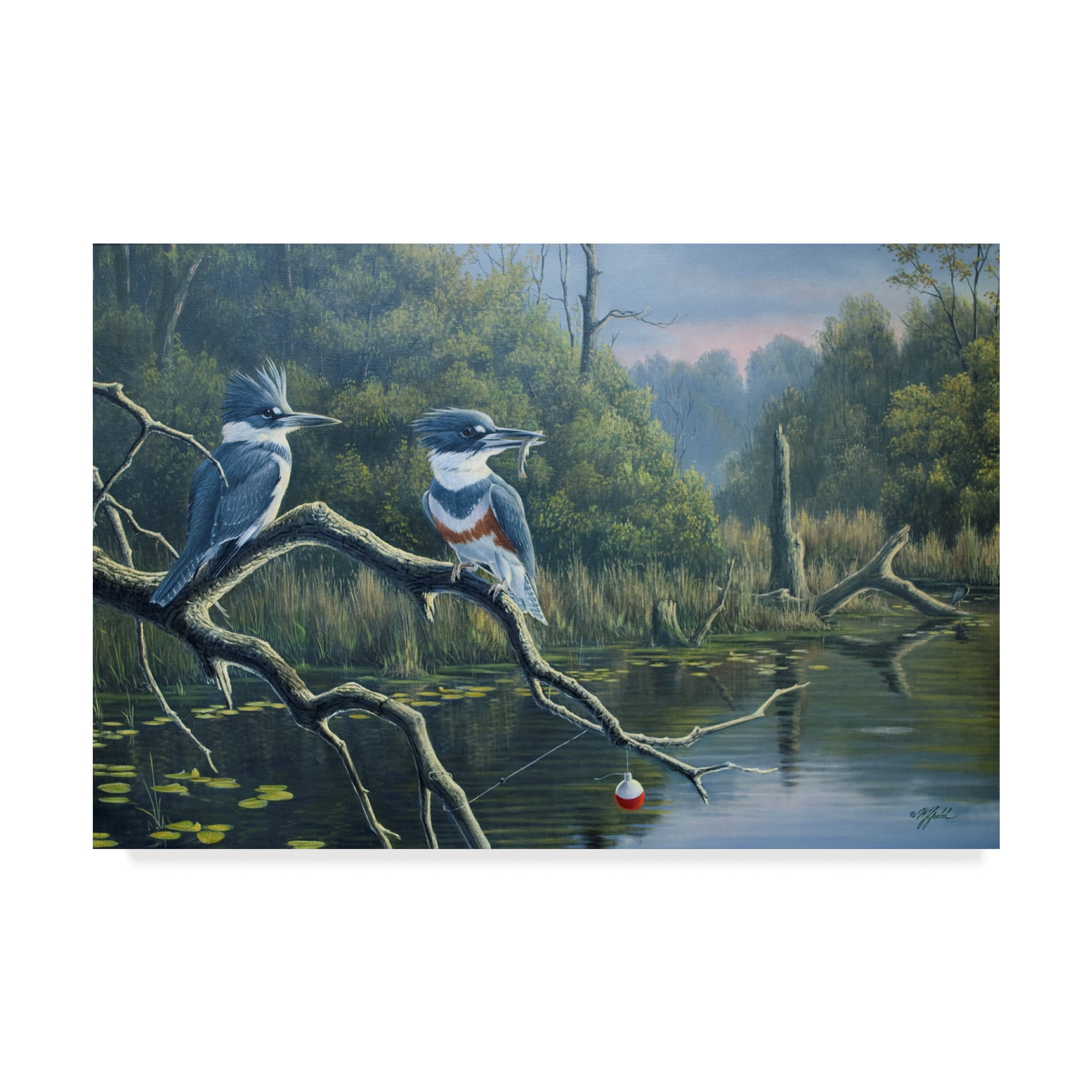 Trademark Fine Art 'Luck Belted Kingfishers' Canvas Art by Wilhelm Goebel