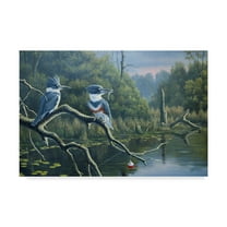 Trademark Fine Art 'Luck Belted Kingfishers' Canvas Art by Wilhelm Goebel
