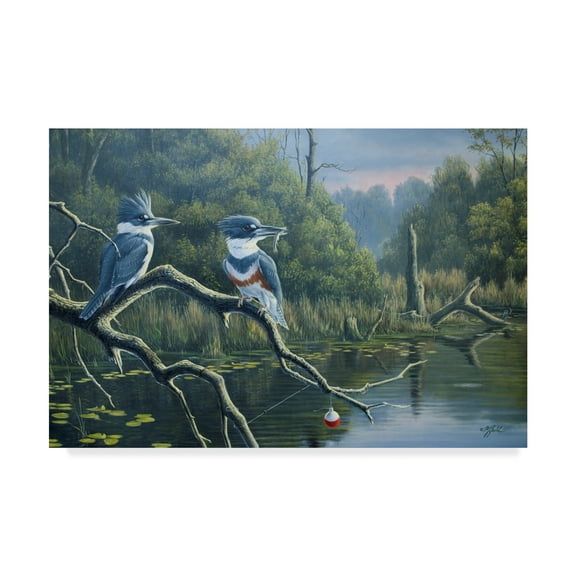 Trademark Fine Art 'Luck Belted Kingfishers' Canvas Art by Wilhelm Goebel