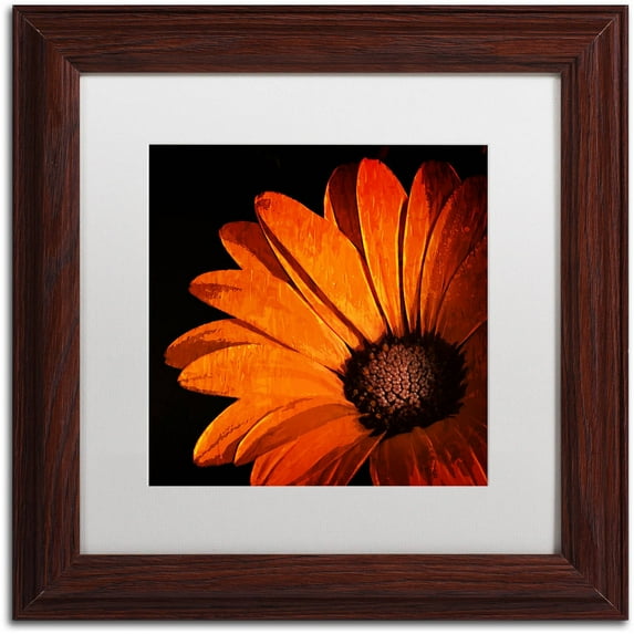 Trademark Fine Art "Lucky Charms" Canvas Art by Philippe Sainte-Laudy, White Matte, Wood Frame