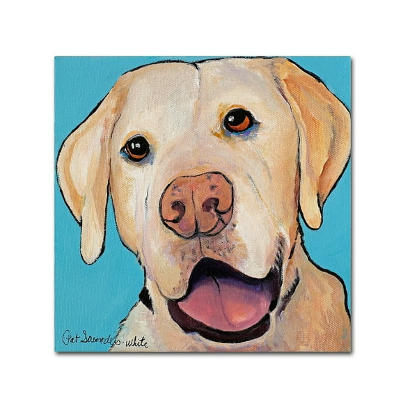 Trademark Fine Art "Lucky Dog Canvas Art" Canvas Art by Pat Saunders-White