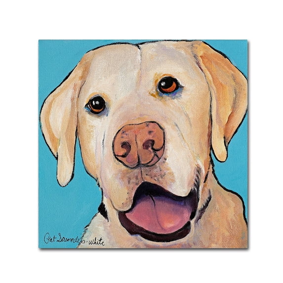 Trademark Fine Art "Lucky Dog Canvas Art" Canvas Art by Pat Saunders-White
