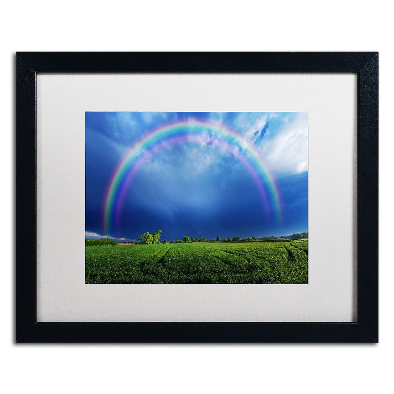 Trademark Fine Art "Lucky Rainbow" Canvas Art by Philippe Sainte-Laudy, White Matte, Black Frame
