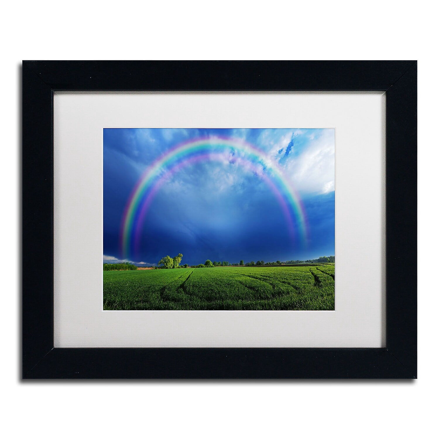 Trademark Fine Art "Lucky Rainbow" Canvas Art by Philippe Sainte-Laudy, White Matte, Black Frame