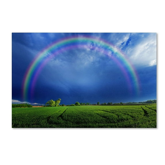 Trademark Fine Art "Lucky Rainbow" Canvas Art by Philippe Sainte-Laudy
