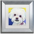 thumbnail image 1 of Trademark Fine Art "Lucy" Canvas Art by Pat Saunders-White, White Matte, Silver Frame, 1 of 1