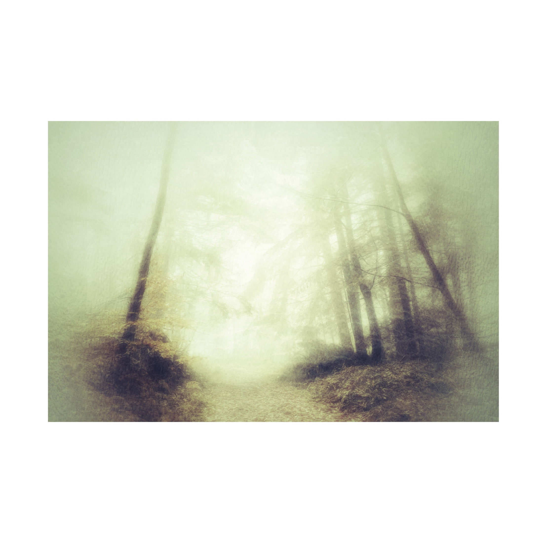Trademark Fine Art Ludmila Shumilova  Remembering Canvas Wall Art