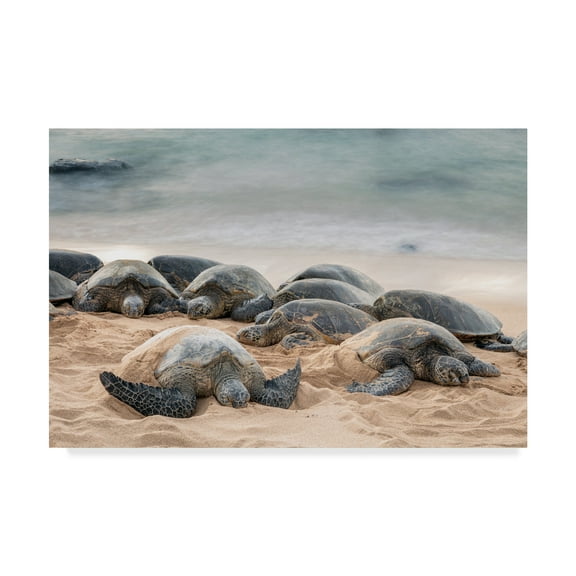 Trademark Fine Art 'Lullaby of the Sea' Canvas Art by Pierre Leclerc