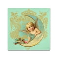 thumbnail image 1 of Trademark Fine Art 'Luna Angel' Canvas Art by Tina Lavoie, 1 of 3