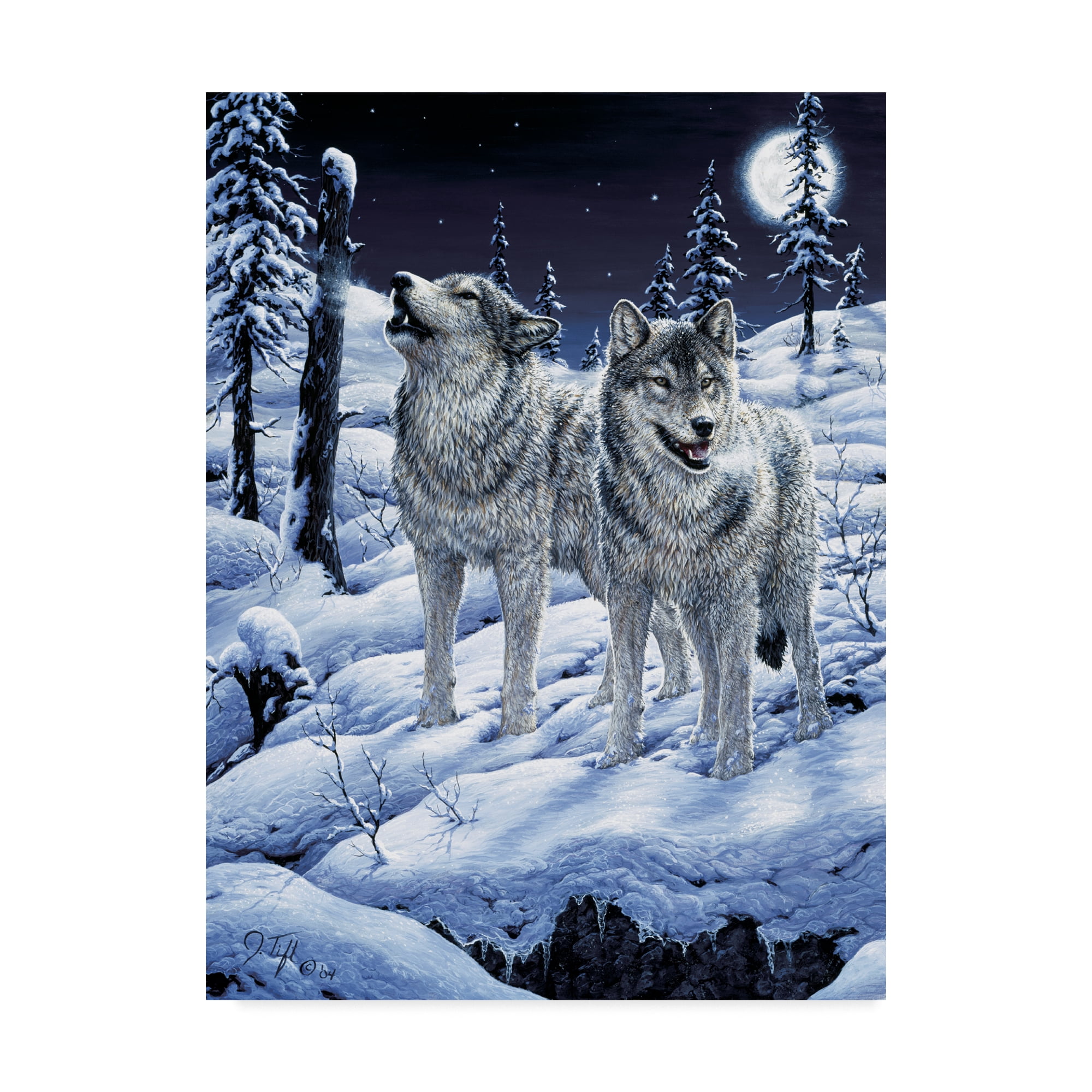 Trademark Fine Art 'Lunar Calling' Canvas Art by Jeff Tift